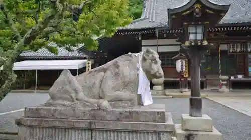 法輪寺の狛犬