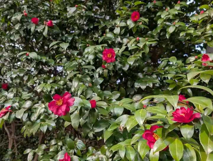 鏡石鹿嶋神社 *安産・開運・勝利の神さま*(福島県)