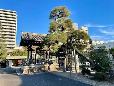 海晏寺のその他建物