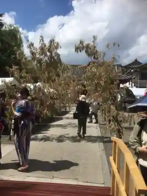 浅草神社のその他建物