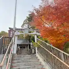 横瀬八幡神社(静岡県)