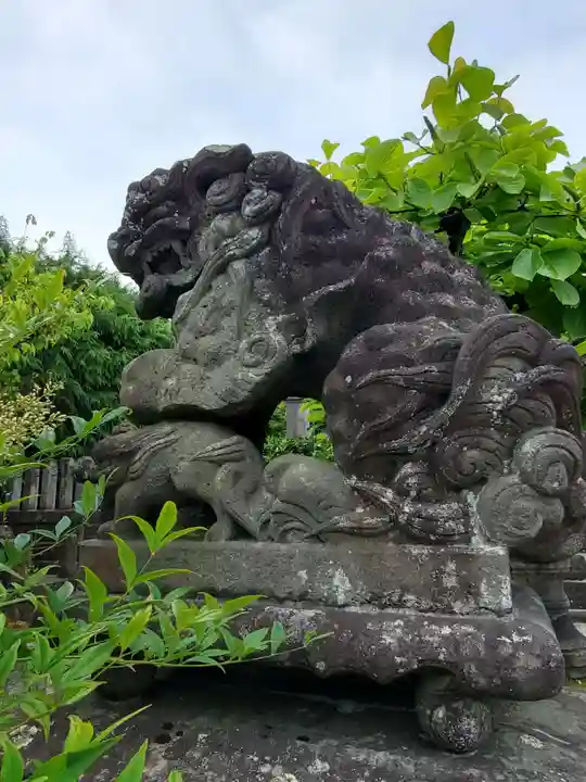 阿弥陀寺の狛犬