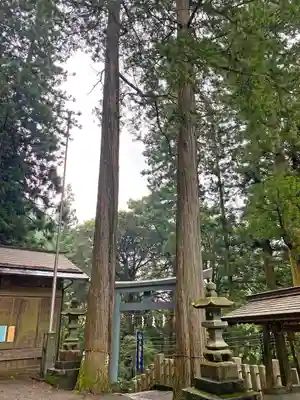 九頭龍神社の鳥居
