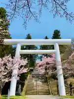 土津神社|こどもと出世の神さまの鳥居