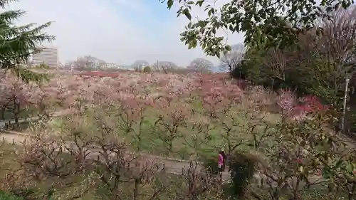 豊國神社の庭園