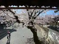 妙顯寺（妙顕寺）(京都府)