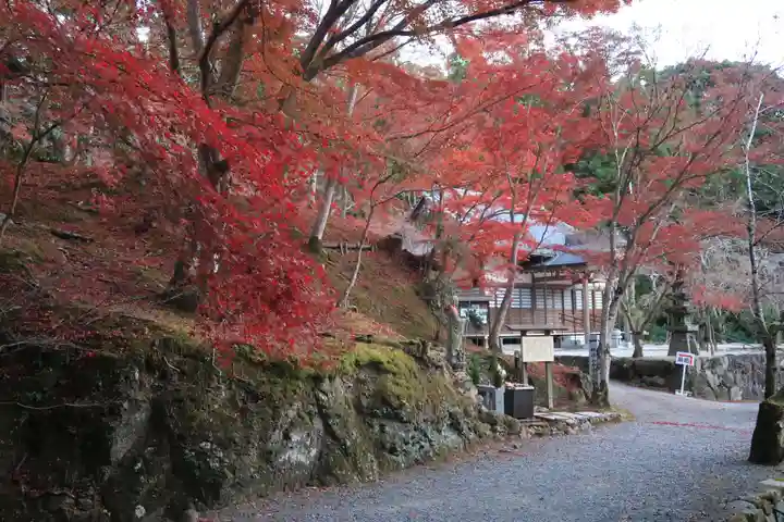 神峯山寺の自然