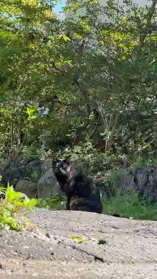 秋葉神社(北海道)