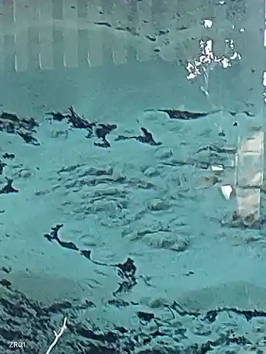 泉神社(茨城県)