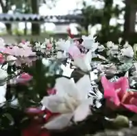 立志神社の手水舎