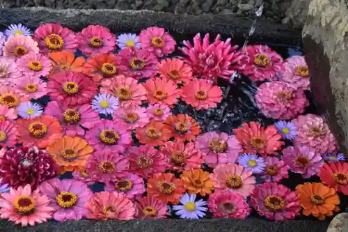 津嶋神社の手水舎