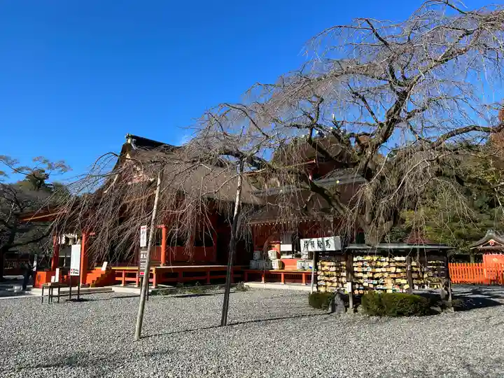 富士山本宮浅間大社(静岡県)