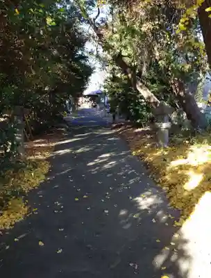 飯玉神社(群馬県)