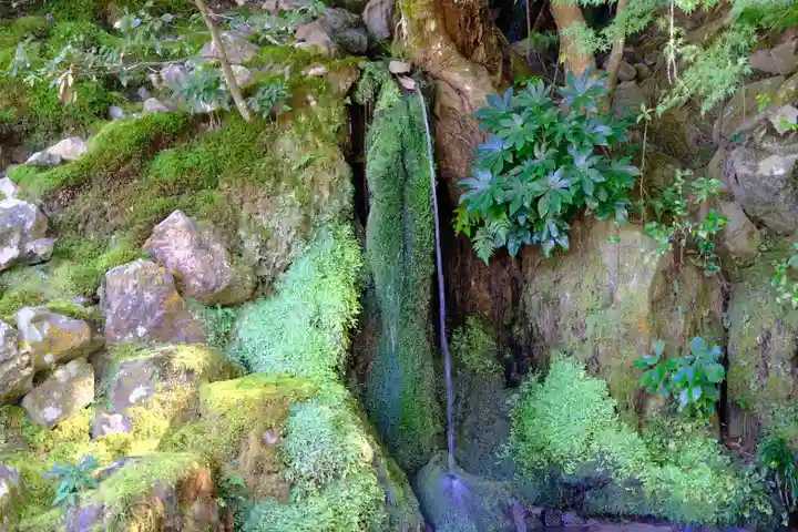 慈照寺(慈照禅寺・銀閣寺)のその他建物