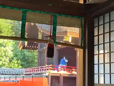 賀茂御祖神社（下鴨神社）のその他建物