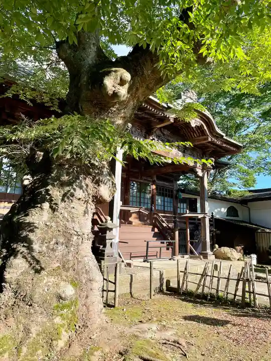 実成寺(福島県)