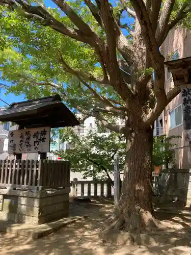 意富比神社(千葉県)