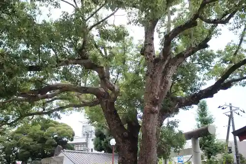 水戸東照宮の自然