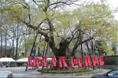 秩父今宮神社の自然