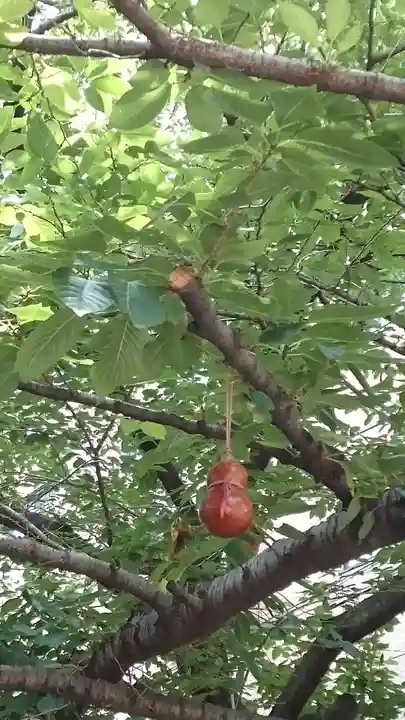 秋葉神社(東京都)