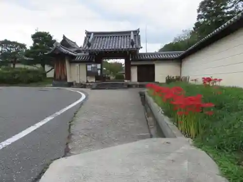 法華寺の山門