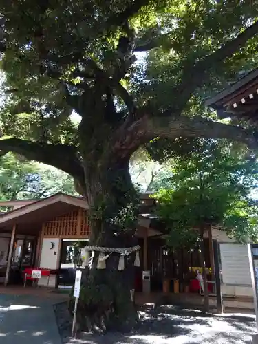 座間神社の自然