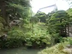 洞雲寺の庭園