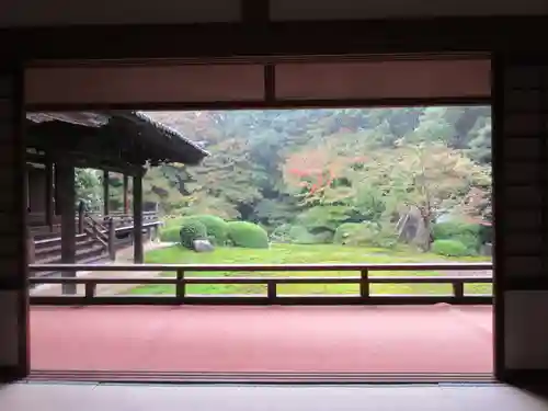 隨心院（随心院）の庭園