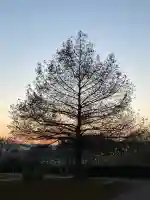 鞆江神社(明地)(愛知県)