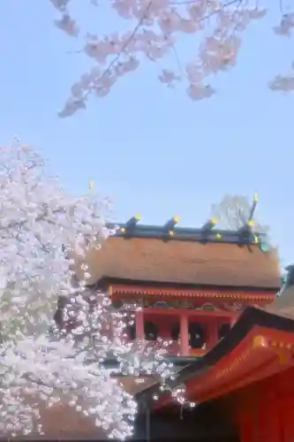 富士山本宮浅間大社(静岡県)