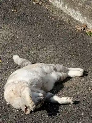 熊野神社の動物