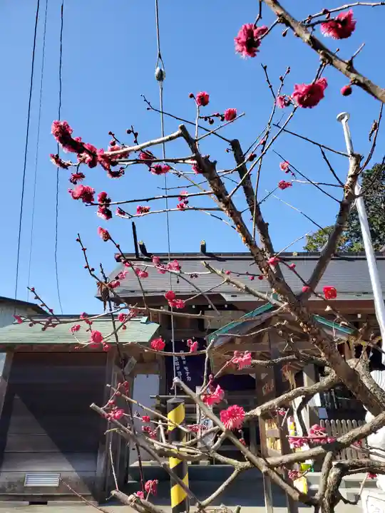 櫻岡大神宮の自然