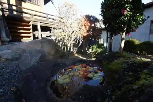 大鏑神社の手水