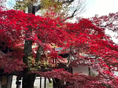 神峯山寺(大阪府)