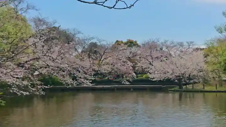 鶴岡八幡宮の{uncategorized: "未分類", other: "その他", undefined: "問題あり", building: "その他建物", grave: "お墓", sacred_gate: "鳥居", guardian: "狛犬", statue: "像", buddha: "仏像", history: "歴史", nature: "自然", garden: "庭園", animal: "動物", pagoda: "塔", temizu: "手水舎", mountain_gate: "山門・神門", sanctuary: "本殿・本堂", subordinate: "末社・摂社", art: "芸術", scenery: "景色", jizo: "地蔵", ema: "絵馬", goshuin: "御朱印", omikuji: "おみくじ", items: "授与品その他", amulet: "お守り", goshuincho: "御朱印帳", eats: "食事", festival: "お祭り", votive_dance: "神楽", shichigosan: "七五三参", wedding: "結婚式", experience: "体験その他", initially: "初詣", around: "周辺", anti_infection: "感染症対策"}