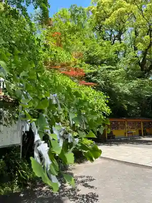 枚聞神社(鹿児島県)