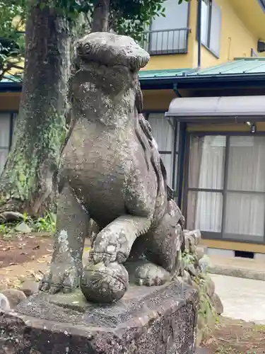 東中野熊野神社の狛犬