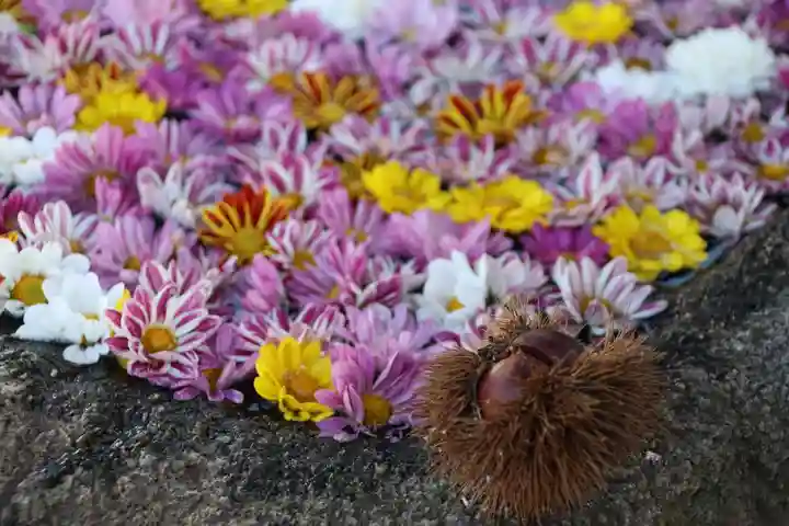 大鏑神社の手水舎