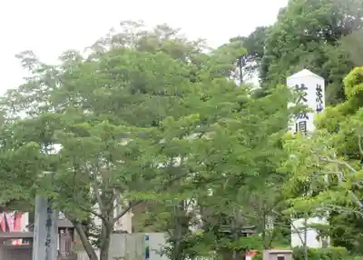 茨城縣護國神社(茨城県)
