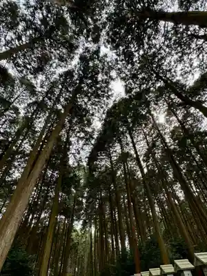 瀧樹神社(滋賀県)