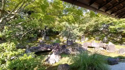 圓徳院の庭園