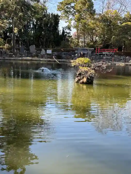 越ヶ谷久伊豆神社(埼玉県)