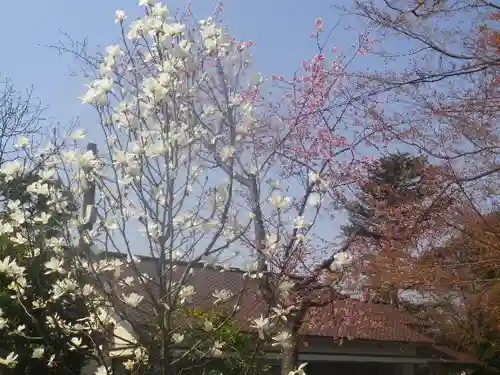 鶴岡八幡宮の自然