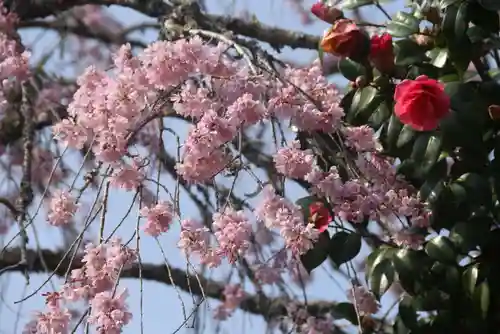 瑞雲寺(福島県)