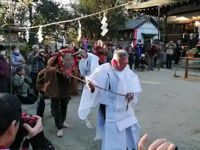 村屋坐弥冨都比売神社(奈良県)