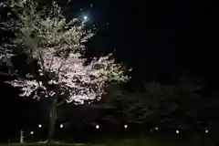 宮崎神社の自然