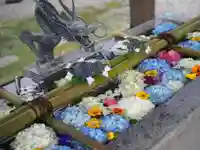 今市報徳二宮神社の手水舎