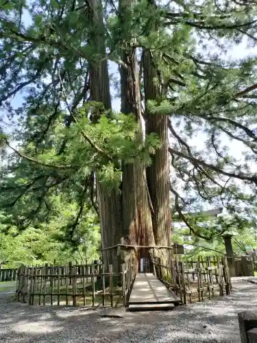 戸隠神社中社(長野県)