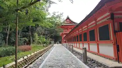 賀茂御祖神社（下鴨神社）(京都府)
