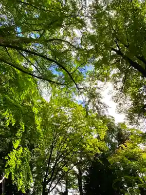 手長神社の自然
